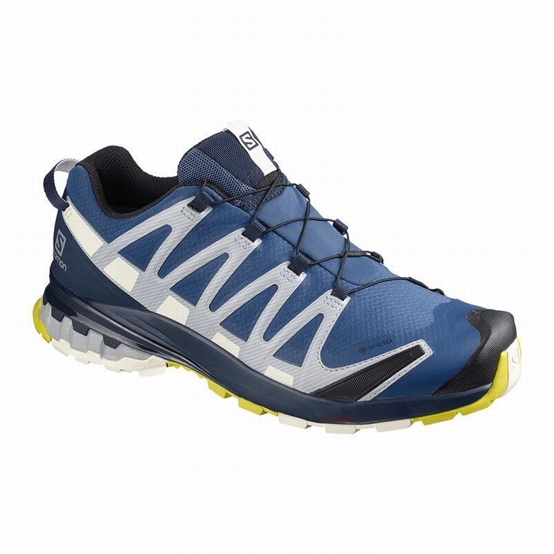 Salomon Trail Løbesko Herre Mørkeblå - XA PRO 3D V8 GORE-TEX (KWMFB-3486)